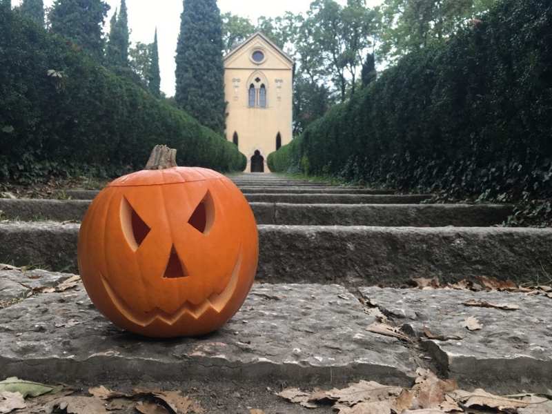 Halloween in parchi e giardini