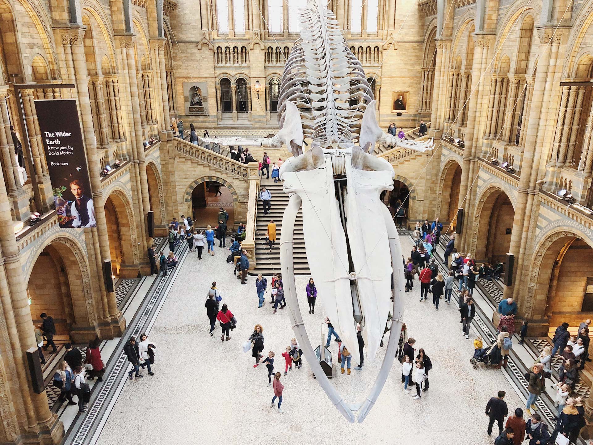 Londra, il museo di Storia naturale