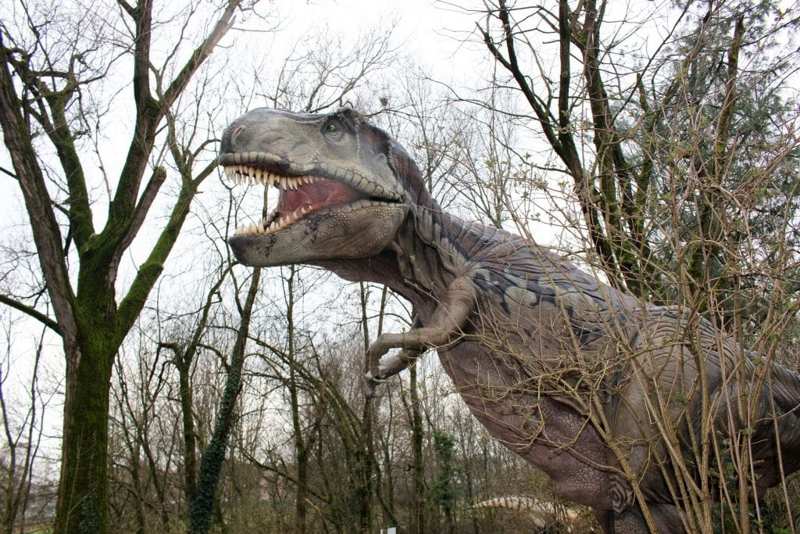 Astroni mostra dinosauri
