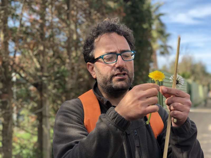 Roberto Vetromile