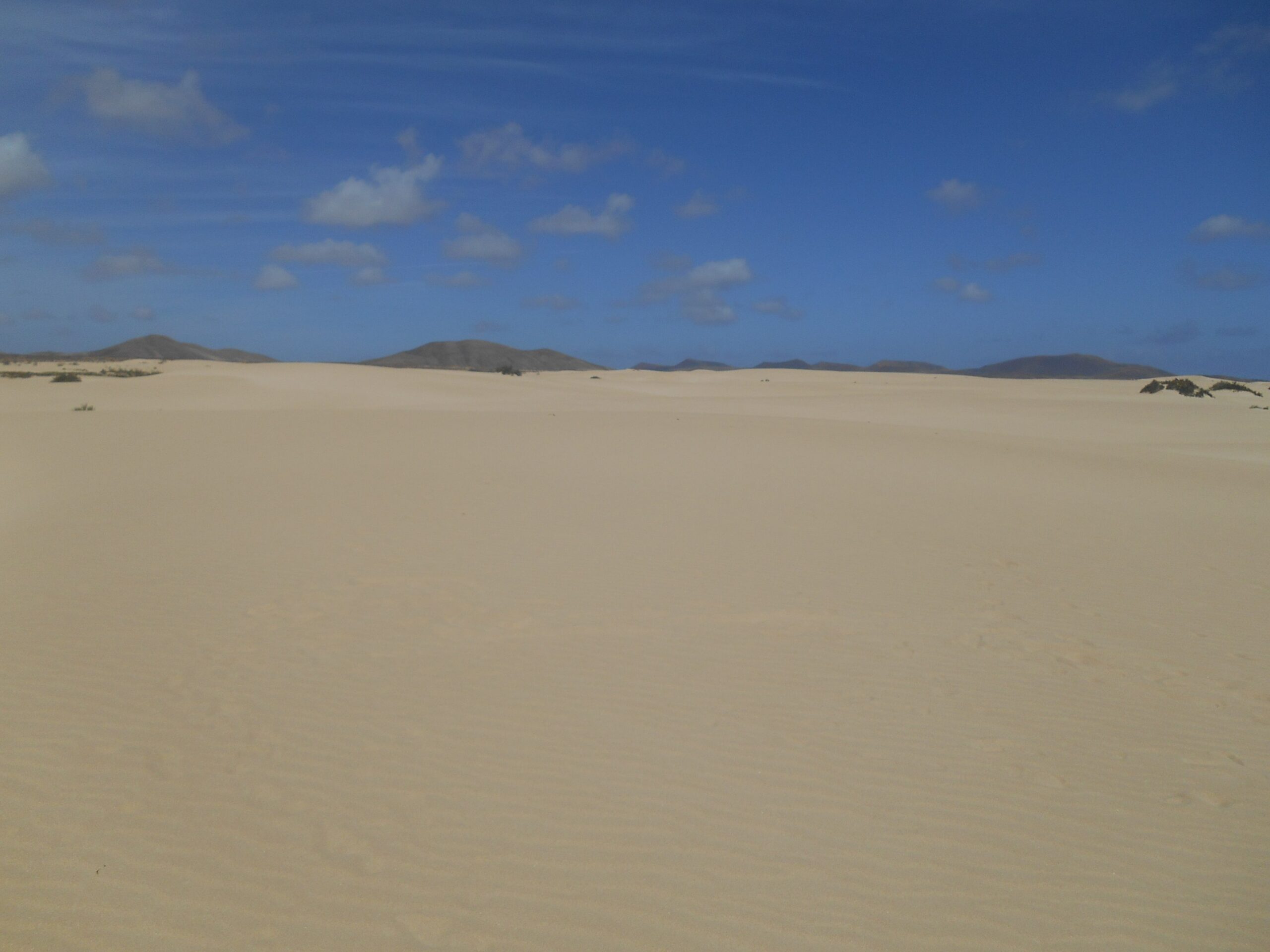 Corralejo