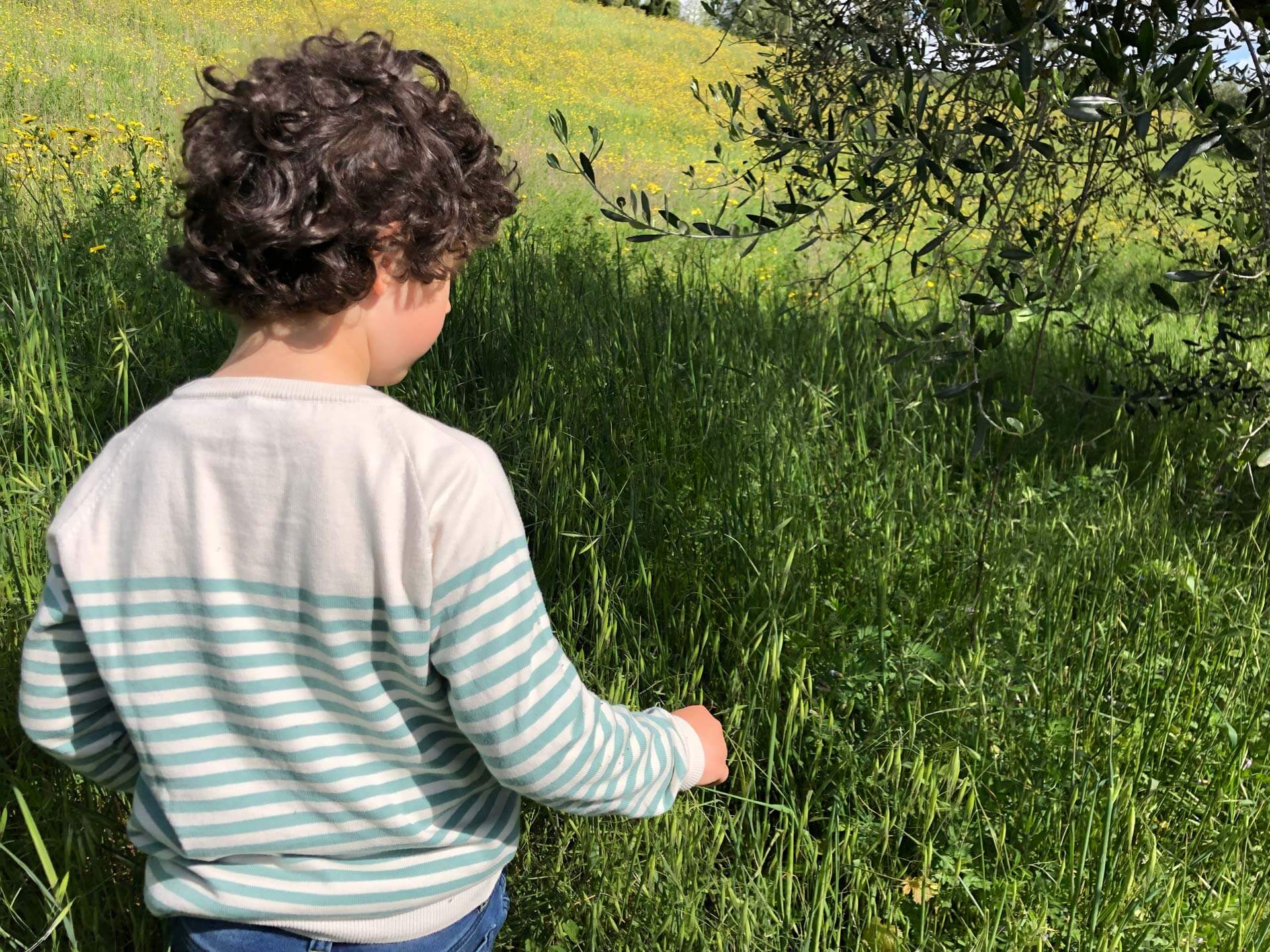 Kuxo Primavera 2019