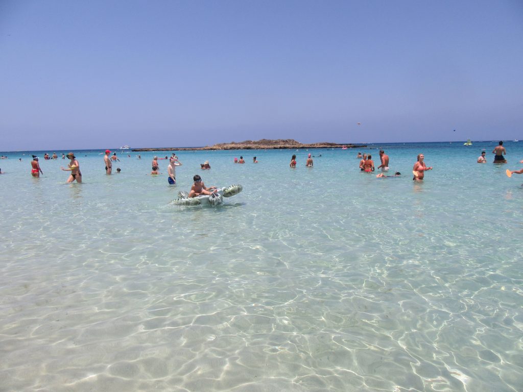  Fig tree bay