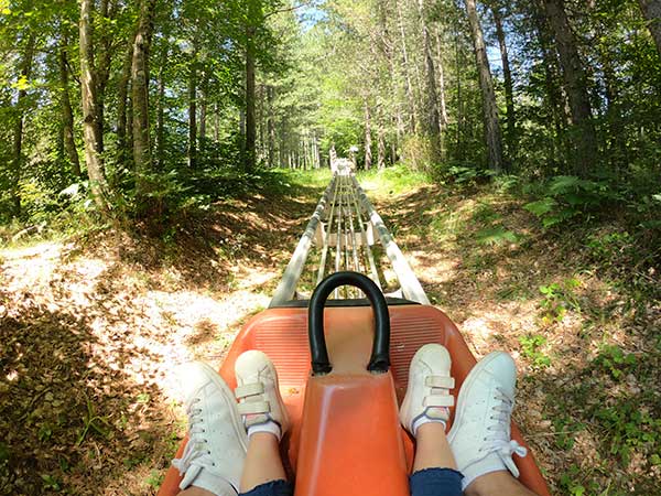 Calabria con i bambini il parco nazionale della della Sila Bob