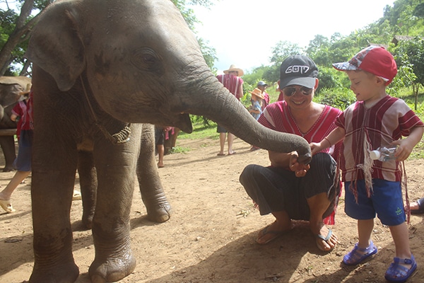 thailandia con i bambini elefanti