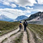 Canada tredicesimo giorno il parco Nazionale di Banff