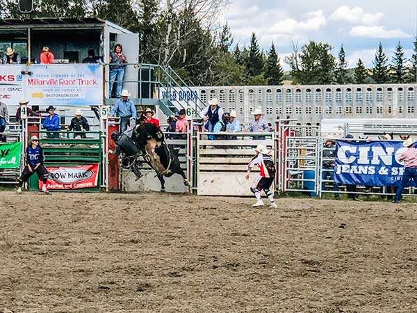 canada rodeo