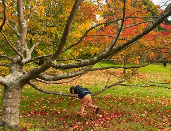londra autunno