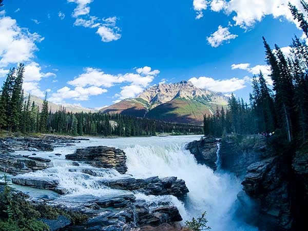 athabasca falls jasper