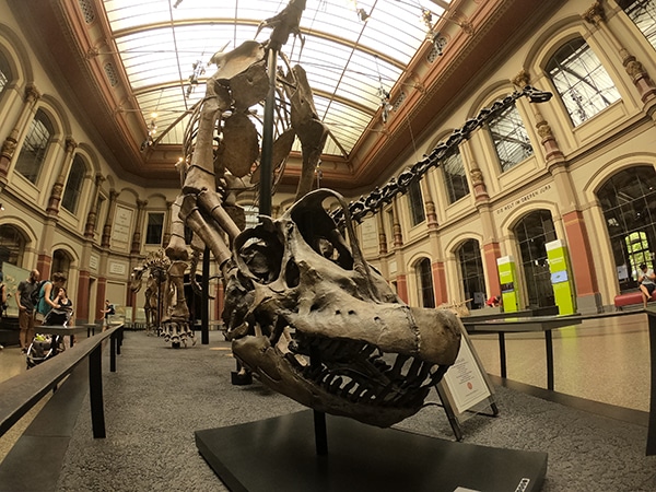 berlino museo storia naturale