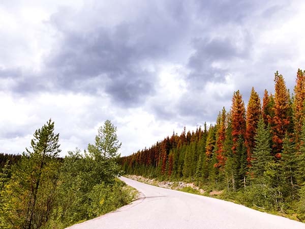 canada autunno