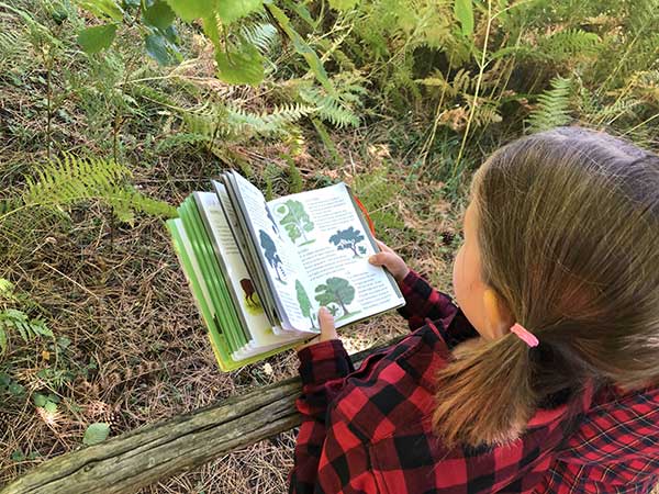 giganti della sila flora libro