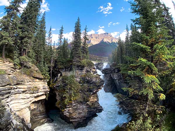 jasper alberta athabasca falls