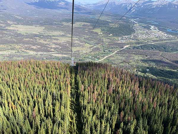 jasper skytram