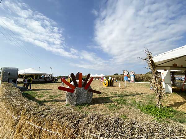 giardino zucche Pumpkin Patch