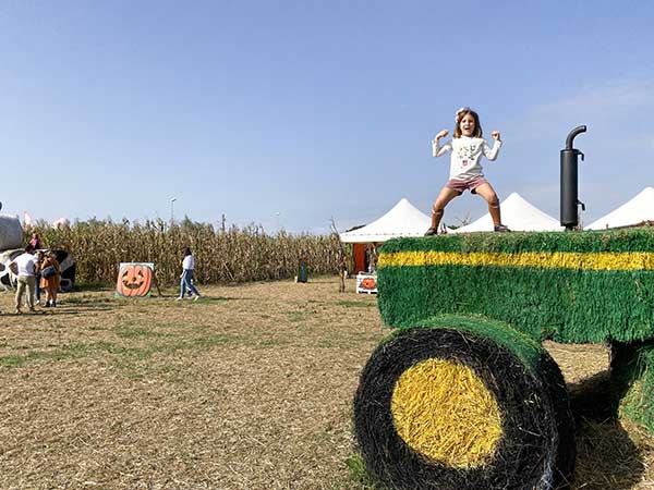 giardino zucche bambini giochi