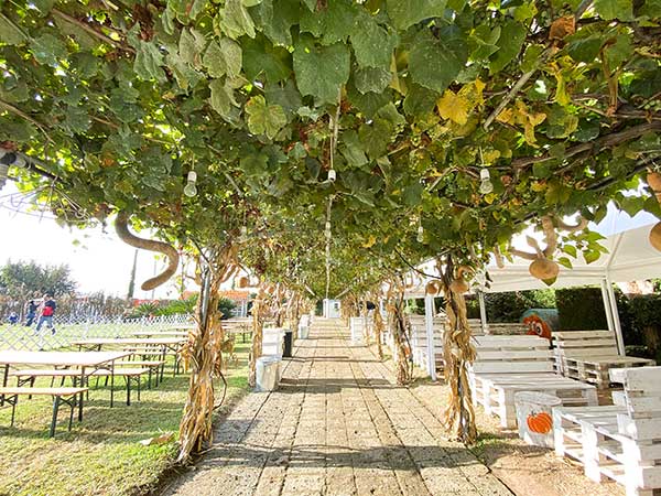 giardino zucche napoli