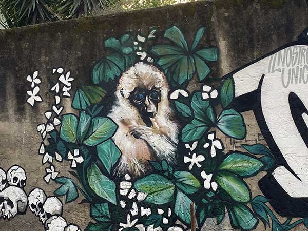 murale scimmie napoli
