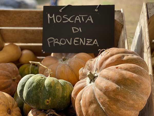 zucca arancione e verde