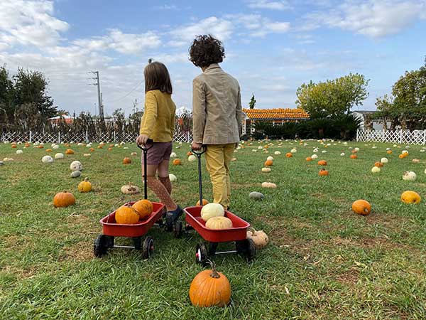 zucche bambini halloween