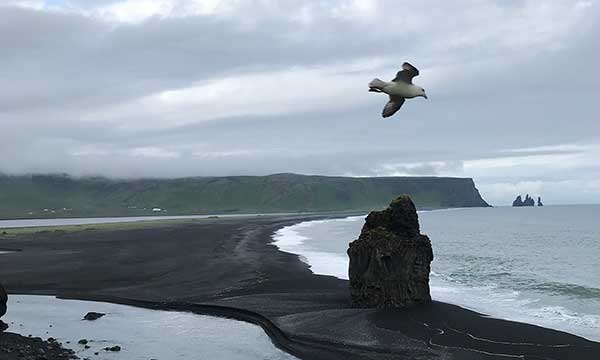 Reynisfjara