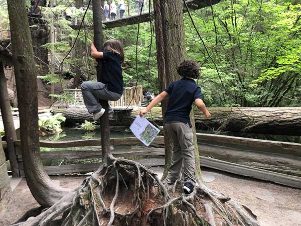 bambini giocano tra gli alberi