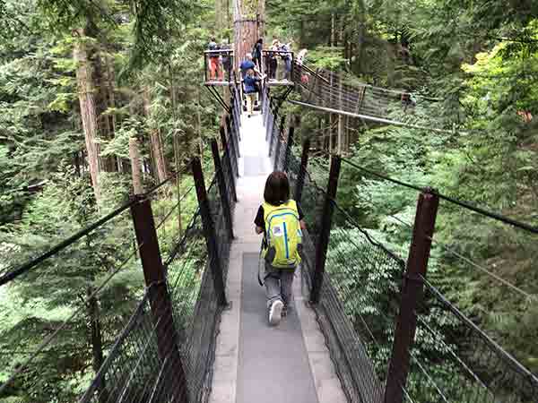 ponti sospesi tra alberi Vancouver