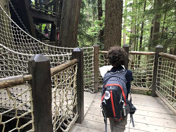 ponte sospeso tra gli alberi bambino