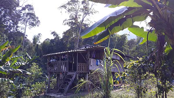 Mae Klang Gluang Village