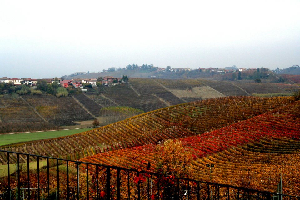 langhe piemonte