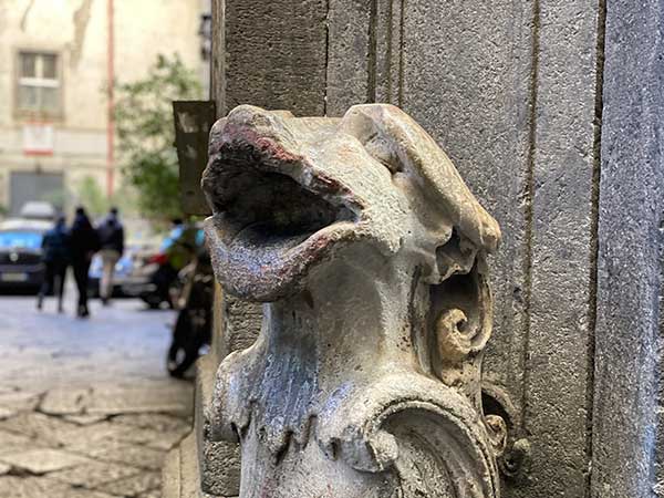 animale marino spegni torce palazzo carafa Napoli