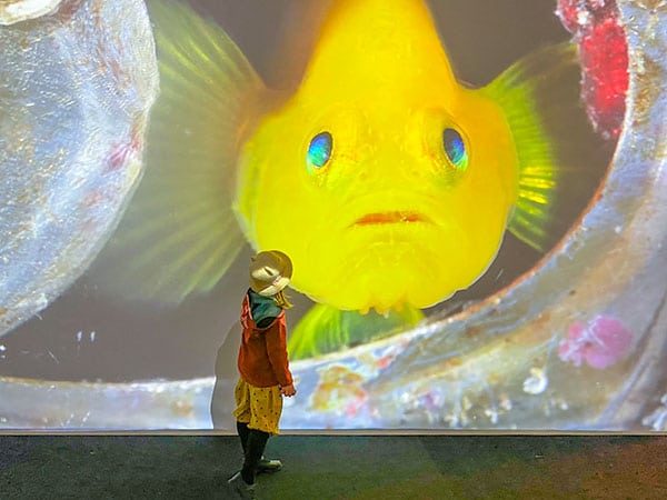 bambina con immagine di un grandepesce giallo