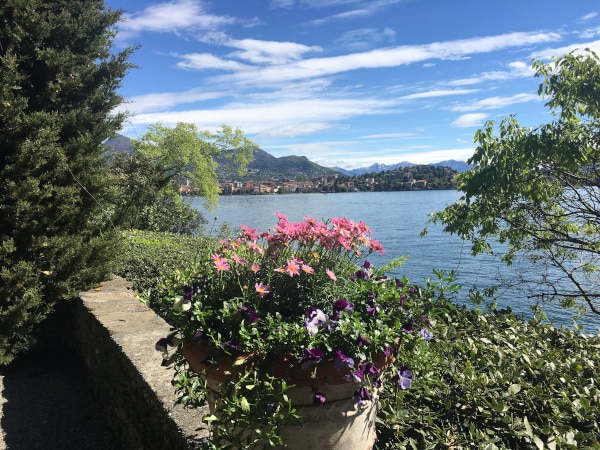 vista lago con fiori e alberi