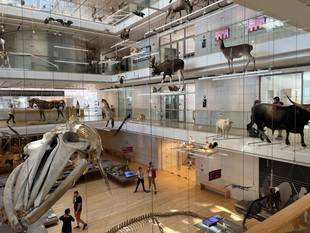 6 piani museo muse