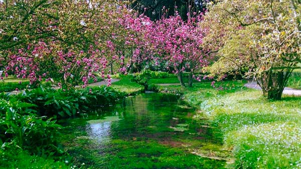 giradin oninfa roma in fiore