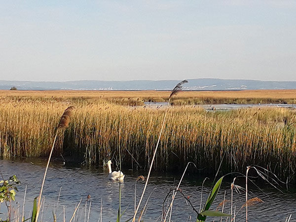 oasi naturale Grado