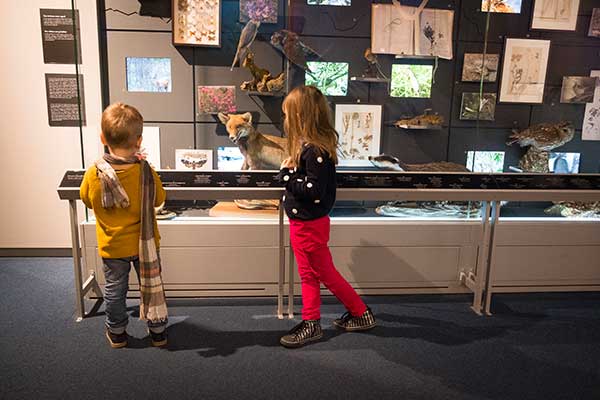 musei per bambini forte di Bard