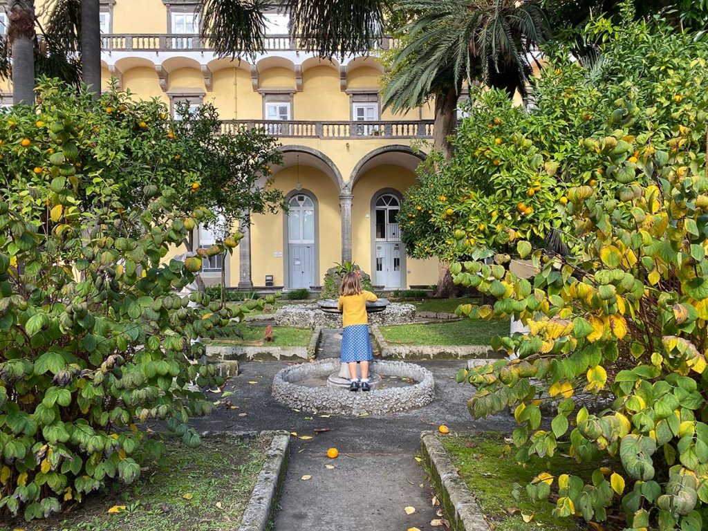 musei scientifici napoli chiostro