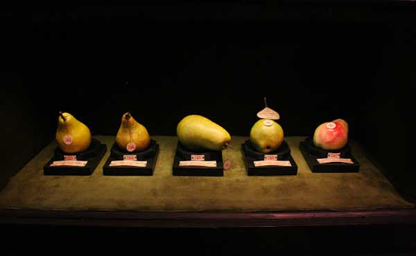 museo frutta
