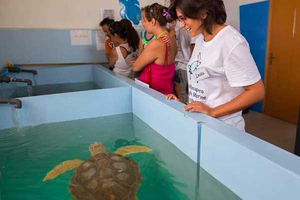 bambini guardano vasca con tartaruga