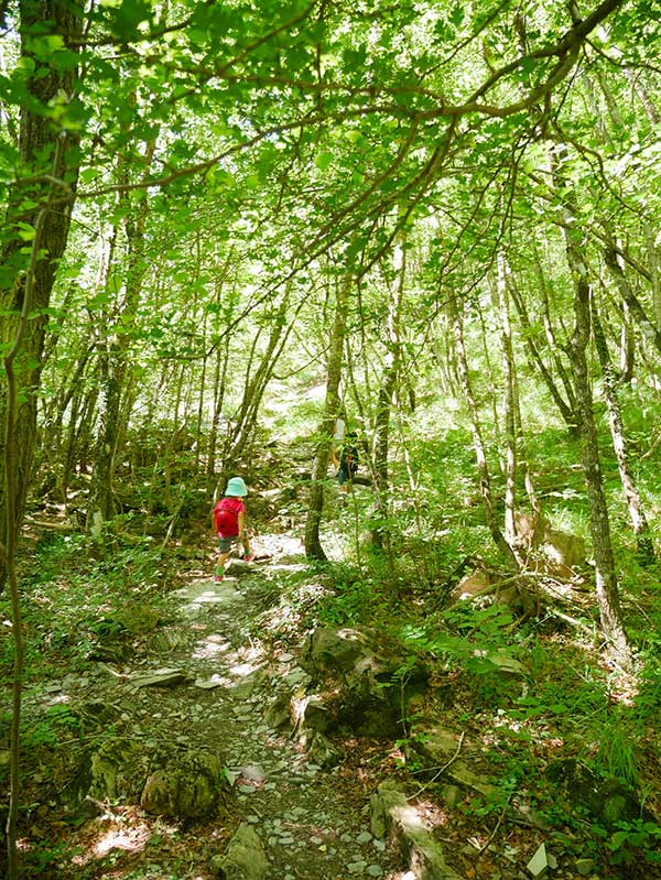 sentiero appennino reggiano