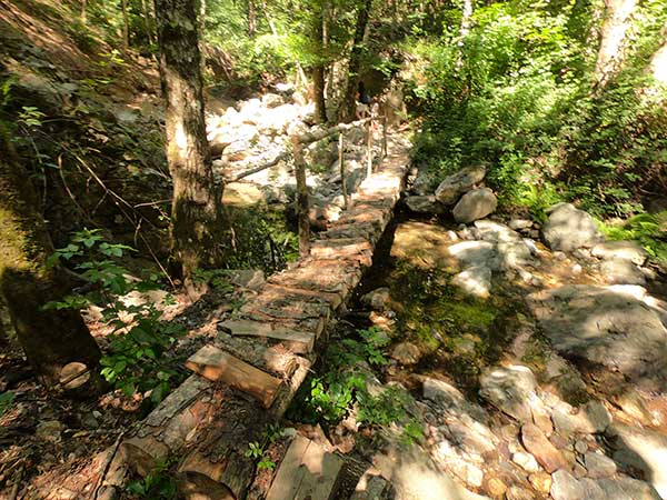 ponte di legno nel bosco Grotta Rosa Magisano