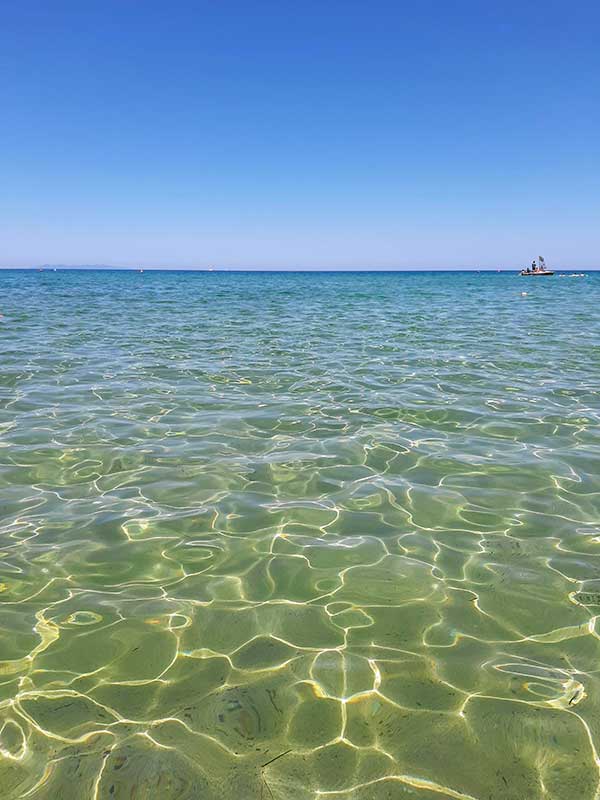 mare