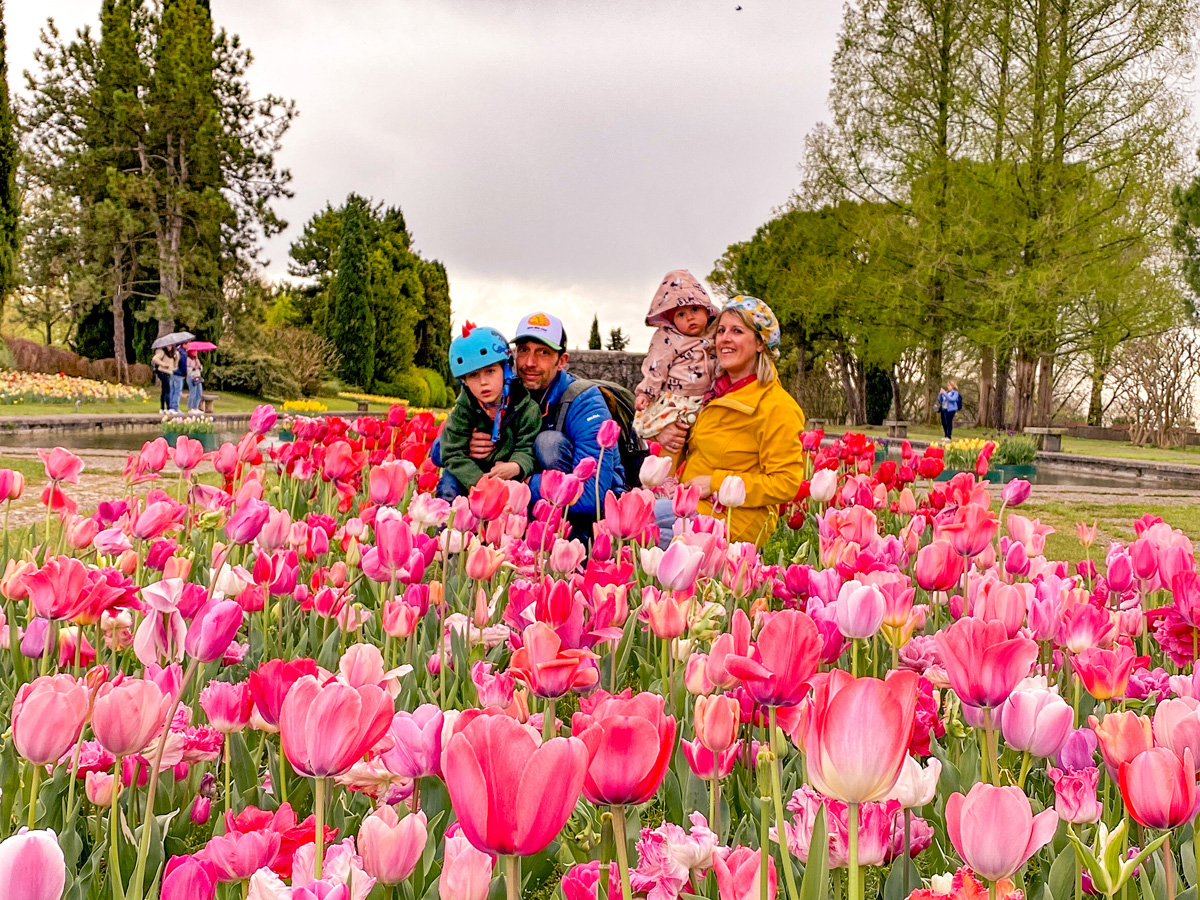 famiglia nel prato di tulipani nel parco