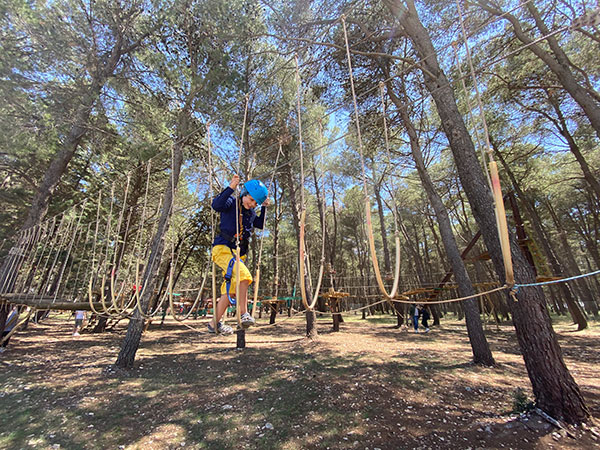 bambino percorso tra gli alberi