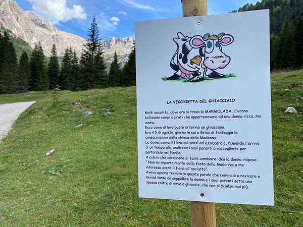 mucca ombretta sentiero bambini per arrivare al Contrin