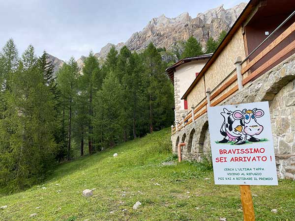 arrivo percorso mucca ombretta