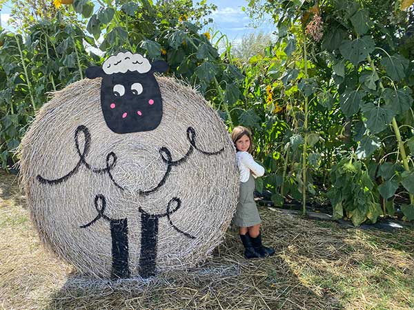 bambina con balla di fieno decoara come un a pecor