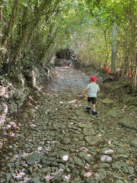 Bambino cammina nel bosco