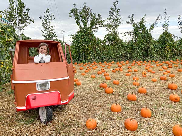 bambina in campo di zucche su u ntreruote